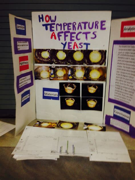 Science Fair Project Ideas For 8th Grade List