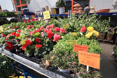 We did not find results for: GARTEN- UND BAUMARKT - ABE KSK Bau- und Brennstoffhandlung ...