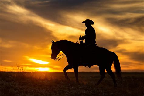 Maximize Your Scores in Ranch Riding