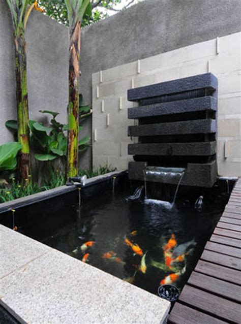 Untuk memiliki kolam koi minimalis sederhana tidaklah terlalu sulit, kolam koi dengan model sederhana hanya memerlukan media yang apakah kolam koi harus menggunakan filter kolam? Ikan Cinta Ini Ternyata Punya Sifat Unik yang Enggak Kita ...