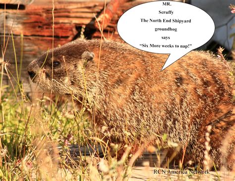 RCN America - NY: Groundhog Day 2013