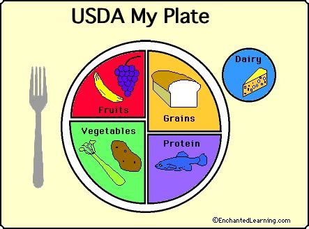 While it's in many of the foods that we eat every day, for something so common it's often a misunderstood. Various printable worksheets of the new My Plate for ...