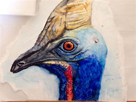 Cassowary Painting Art Watercolor Tattoo