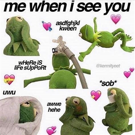 Wholesome Memes Love Memes Kermit