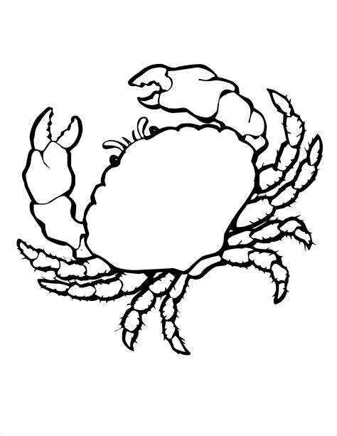Realistic Crab Coloring Page to Print - ColoringBay