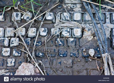 Computer Keyboard Covered In Mud Stock Photo Alamy