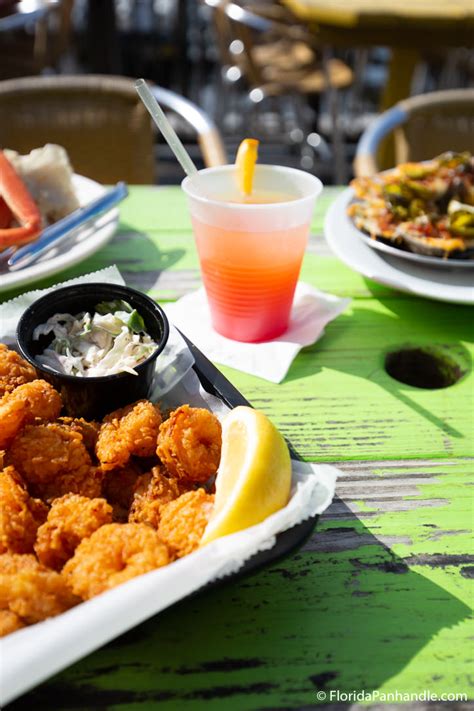 A Full Review Of Frisky Dolphin Sunset Oyster Bar And Grill