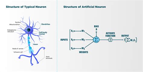 What is the difference between computer and human brain? Fundamentals: Artificial Neural Networks are to deep ...