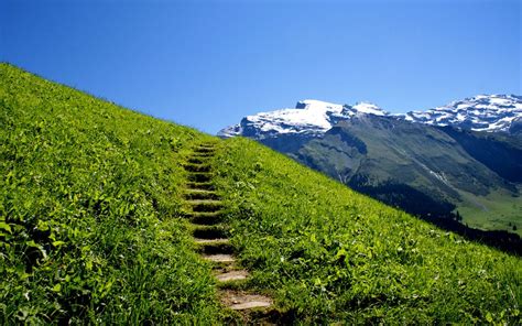 42+ Free Stairway to Heaven Wallpaper on WallpaperSafari
