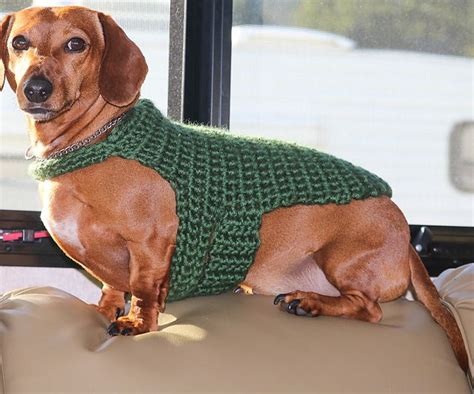 11 Free Crochet Patterns For Dog Sweaters
