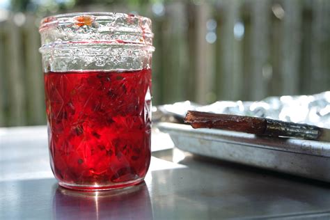 Sweet & Hot Hibiscus Pepper Jelly (great as a rib glaze!) - Jess Pryles