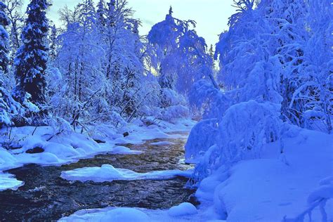 Cold Winter River Snow Landscape Wallpapers Hd Desktop And Mobile