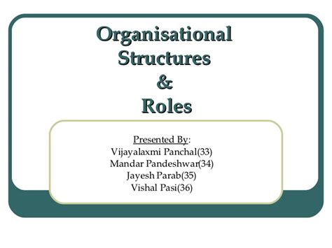 Organizational Structure And Roles