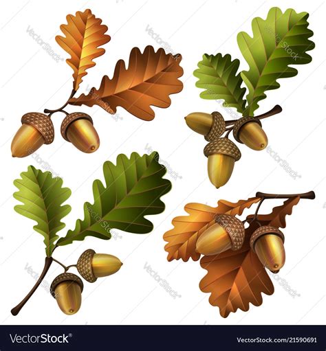 Oak Branch With Acorns Vector Image On Vectorstock Oak Leaf Tattoos