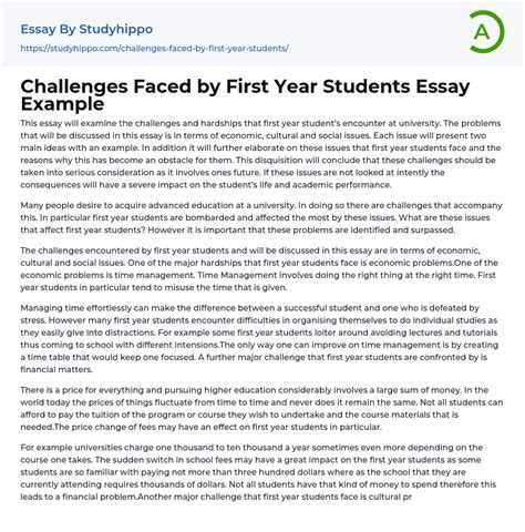 Challenges Faced By First Year Students Essay Example