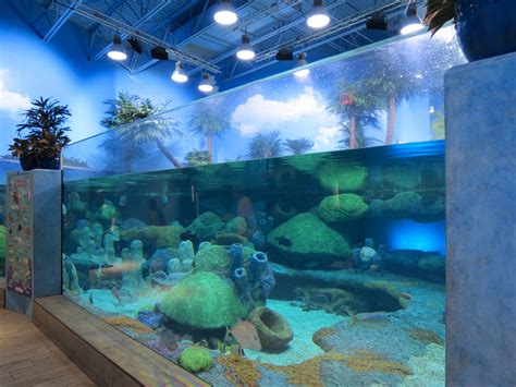 Sea Turtle Island Exhibit Zoochat