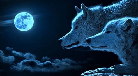 Rare Blue Moon Rises Tonight 5 Amazing Facts Blue Moon Rose Blue Moon Rising Blue Moon