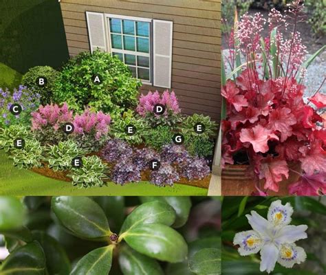 Gemüse benötigt guten boden und einen sonnigen platz im garten. Japanischer Garten Pflanzplan: Ideen für modernen ...