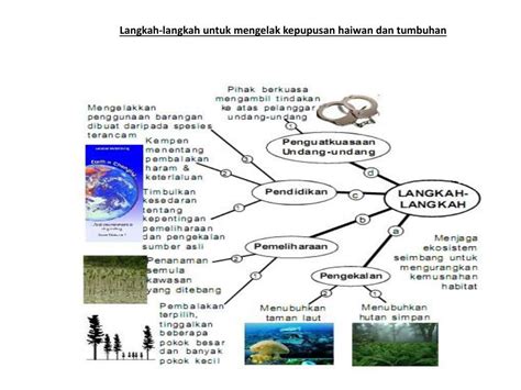 Fauna yang diternakkan fauna yang banyak diternakkan oleh manusia dan banyak terdapat di benua asia seperti sapi, kerbau, kuda, domba, dan unta. Langkah-langkah untuk mengelak kepupusan haiwan dan ...