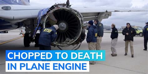 Usa Airport Worker Sucked Into Plane Engine Killed In Freak Incident In Alabama Probe On
