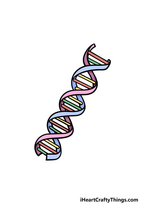 Dna Easy Pictures To Draw Of Dna Hall Kintalind