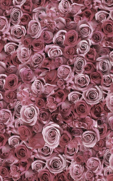 Check spelling or type a new query. The 25+ best Mauve ideas on Pinterest | Mauve color ...
