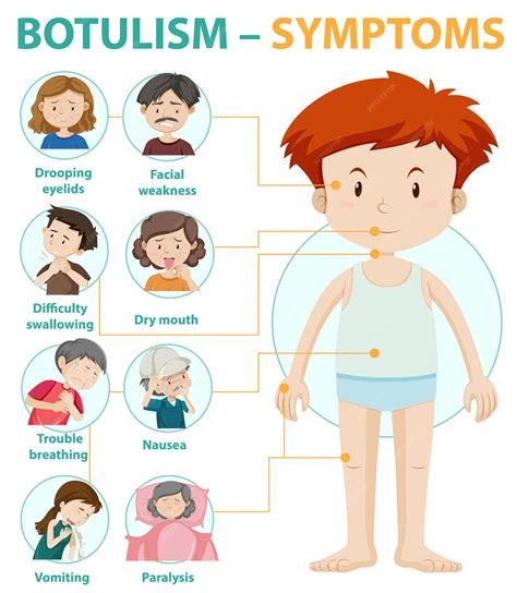 Infographie Sur Les Symptômes Du Botulisme Vecteur Gratuite