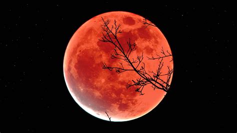 Full Beaver Moon Partial Lunar Eclipse 2021 Longest Lunar Eclipse