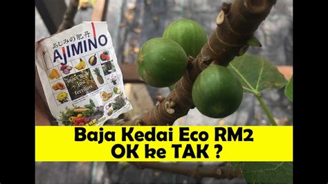 Menggunakan 10 barang dari kedai eco rm2 saja pun dah boleh kemas. Baja ajimino kedai eco RM2 - OK ke TAK? - YouTube