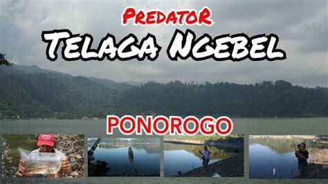 Mancing Telaga Ngebel Ponorogo Luar Biasaaaaaa Youtube