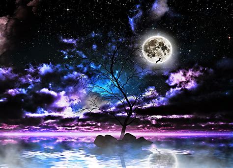 fantasy night water moon sky trees hd wallpaper peakpx