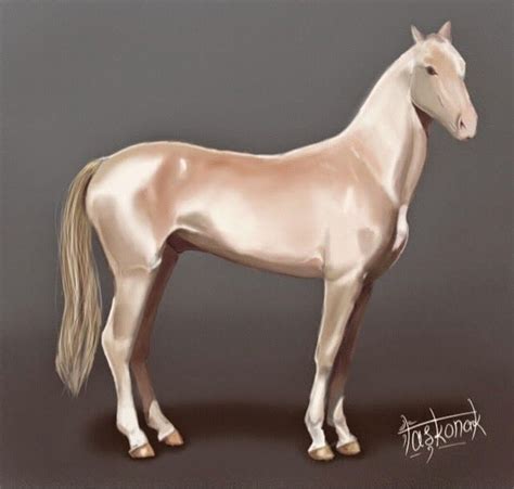 Akhal Teke Golden Horse Akhal Teke Most Beautiful Horses Horses