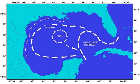 The gulf of mexico is an ocean basin and a marginal sea of the atlantic ocean, largely surrounded by the north american continent. Gulf Of Mexico Map showing current patterns | Gulf of ...