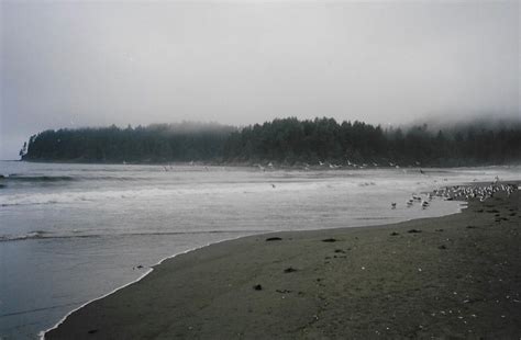 Your Guide To Trekking The Epic West Coast Trail On Vancouver Island