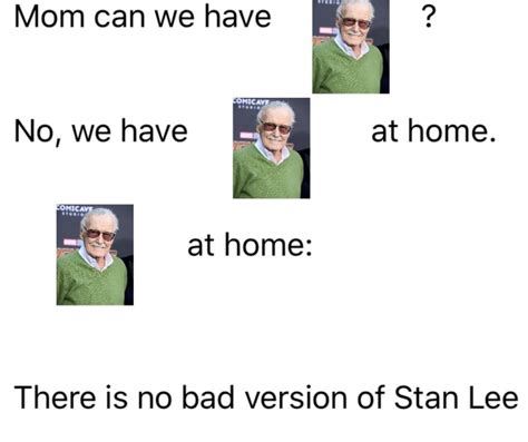 Mom Can We Have Stan Lee We Have Food At Home Know Your Meme