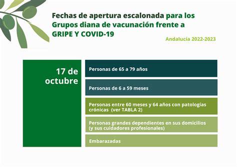 17 Octubre 2022 La Campaña De La Vacunación Gripe Covid En Andalucía