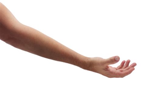 Arm Reaching Out To Help On White Stock Photo Download Image Now Istock