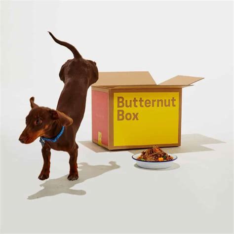 13 Best Dog Food Subscription Boxes Of 2024 Urban Tastebud