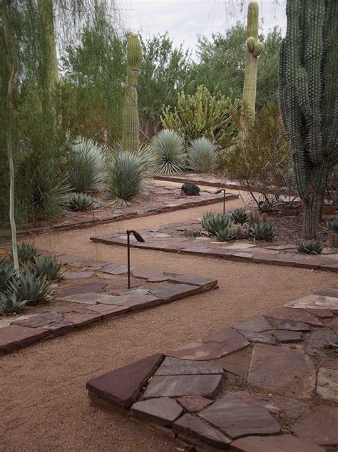 Four Things About The Phoenix Desert Botanical Garden