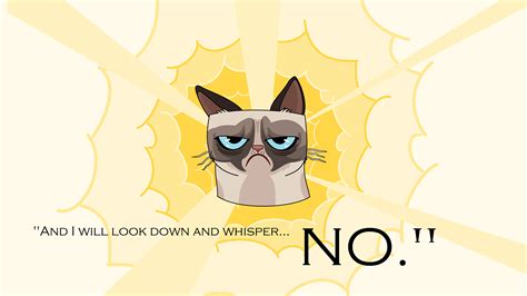 48 Grumpy Cat Halloween Wallpaper Wallpapersafari