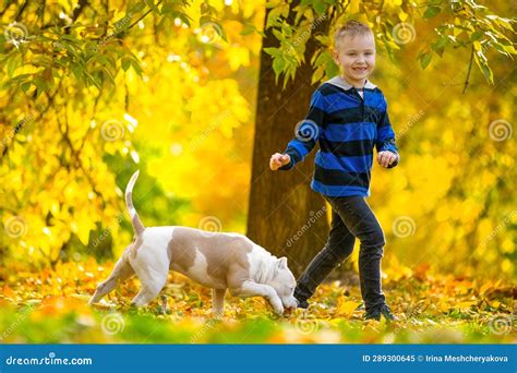 Joyful Carefree Child Frolic Walks In Autumn Park Forest With American