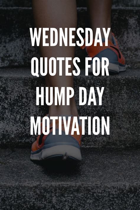 Wednesday Quotes For Hump Day Motivation In 2023 Wednesday Quotes