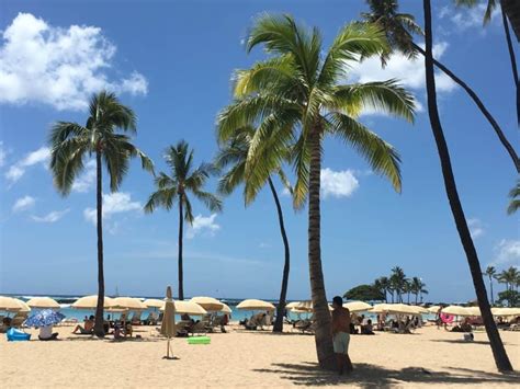 Unforgettable Waikiki Vacations Discover Paradise At Vacation Waikiki