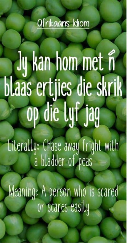 25 Best Afrikaans Idioms And Proverbs Ever With Images