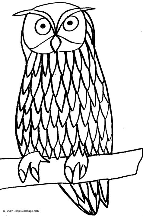 Coloriage pyjamasques (36) dernière mise à jour: Coloriage Hibou debout dessin gratuit à imprimer