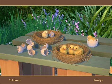 Chickens By Soloriya At Tsr Sims 4 Updates