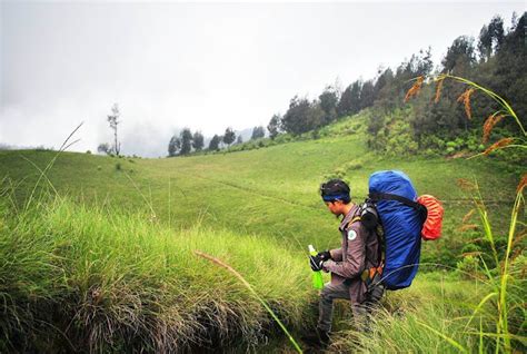 Tips Dan Info Lengkap Pendakian Gunung Argopuro Gunung Dengan Trek Terpanjang Di Jawa