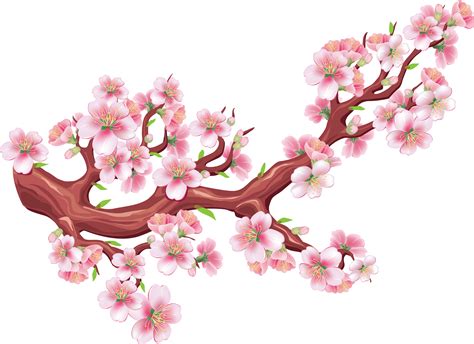 0 Result Images Of Sakura Tree Vector Png Png Image Collection
