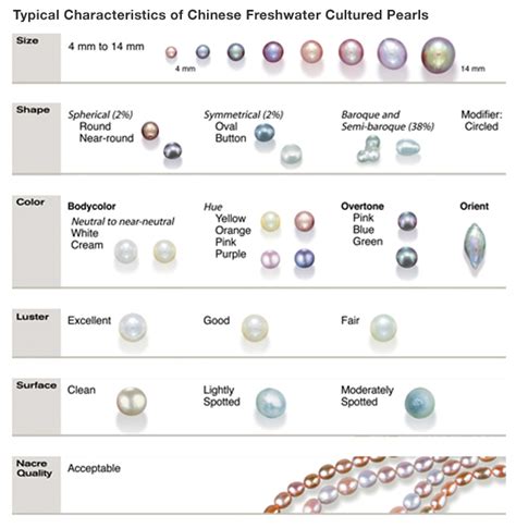 Akoya Pearl Value Chart Best Picture Of Chart Anyimageorg
