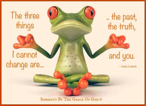 Cute Quotes Best Quotes Funny Quotes Funny Frogs Cute Frogs Frog